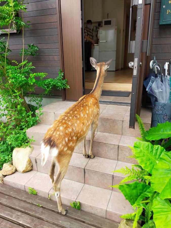 Mini Inn Nara- - 外国人向け - 日本人予約不可 מראה חיצוני תמונה